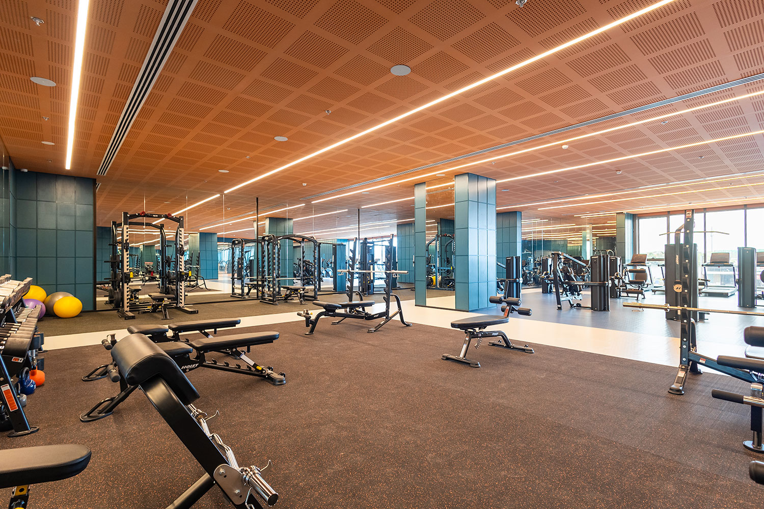 Gymnasium