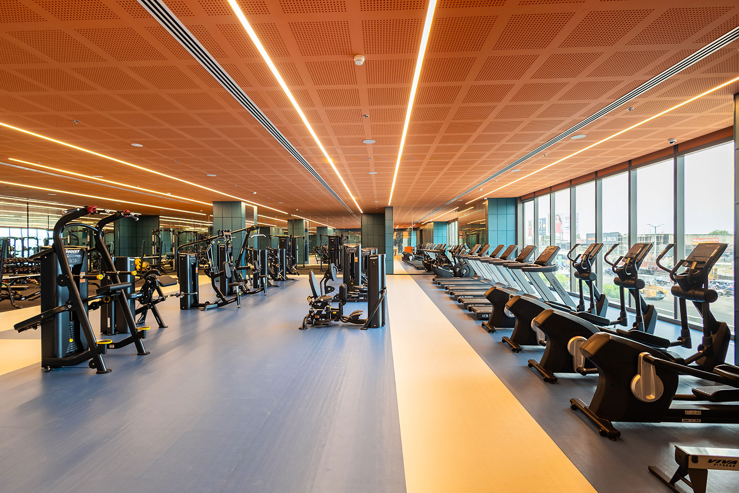 Gymnasium