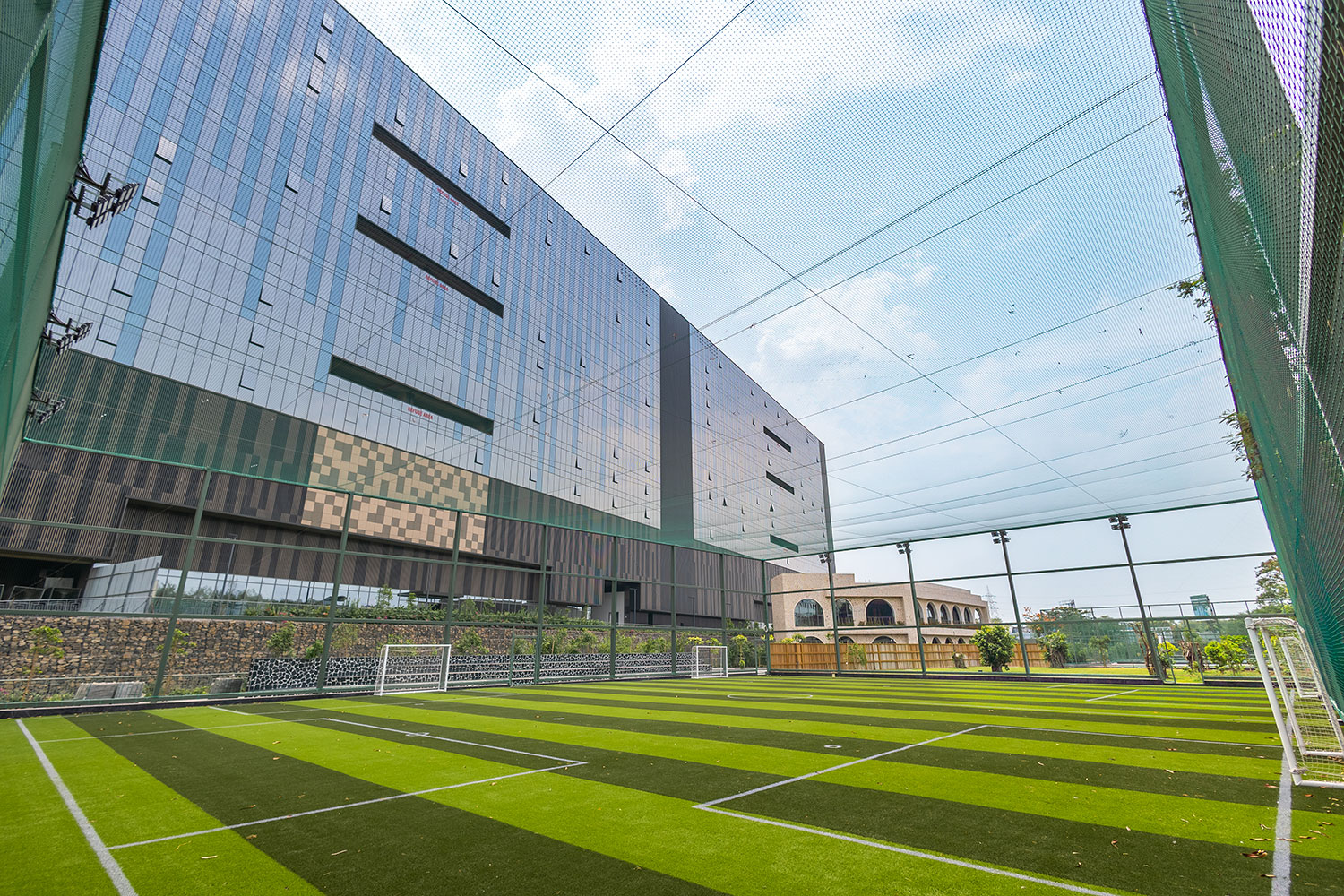 Football Turf